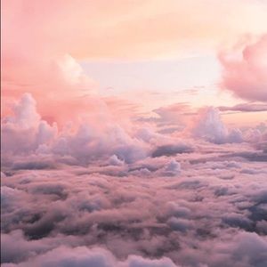 Meet your Posher, Nicol